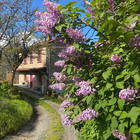 La Lupa E L'Orso Bed & Breakfast Berceto Luaran gambar
