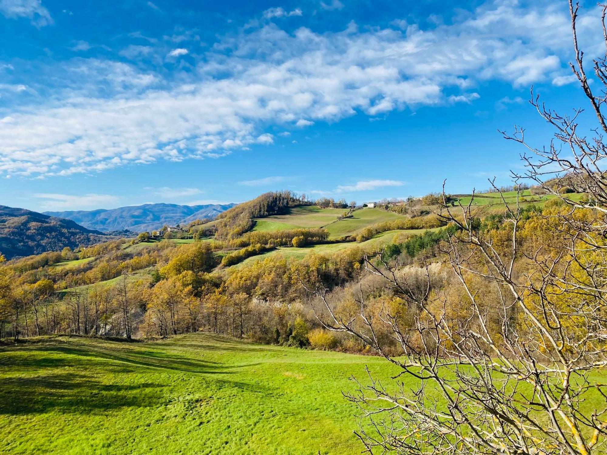 La Lupa E L'Orso Bed & Breakfast Berceto Luaran gambar