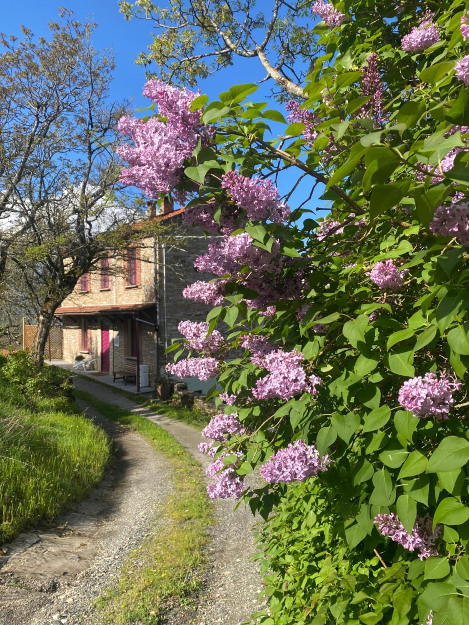 La Lupa E L'Orso Bed & Breakfast Berceto Luaran gambar